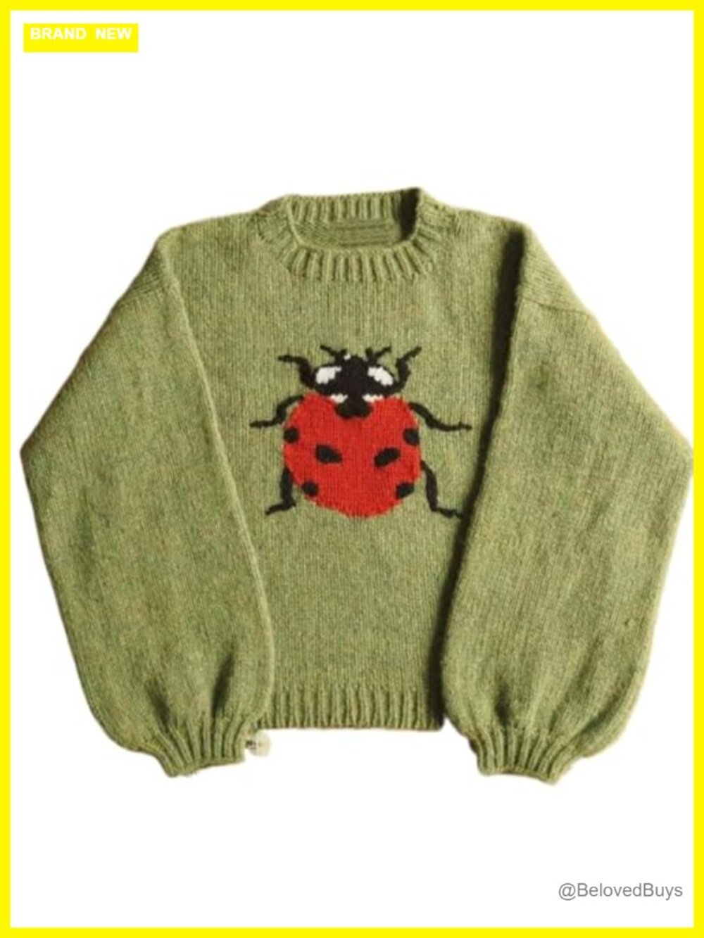 Oversized Sweater Knit Ladybug Dragonfly Print Whimsical Pullover